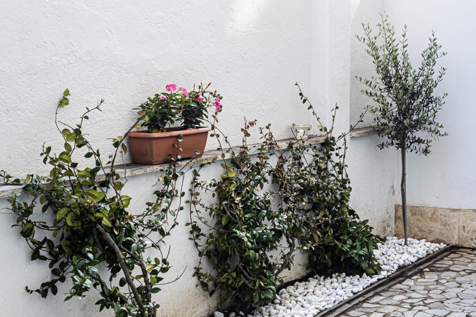 Lejlighed Flaminio * * * * * - Loft Con Giardino *